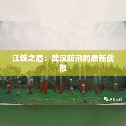 江城之盾:武汉防汛的最新战报