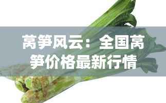 莴笋风云:全国莴笋价格最新行情揭秘