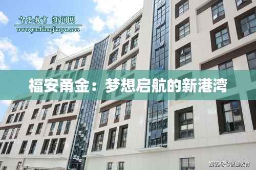 福安甬金:梦想启航的新港湾