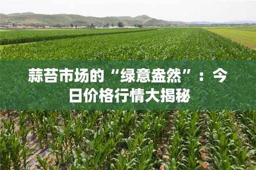 蒜苔市场的“绿意盎然”:今日价格行情大揭秘