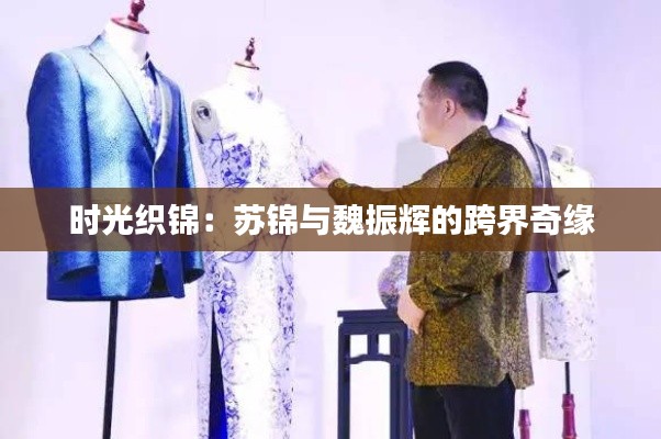 时光织锦:苏锦与魏振辉的跨界奇缘