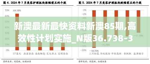 新澳最新最快资料新澳85期,高效性计划实施_N版36.738-3