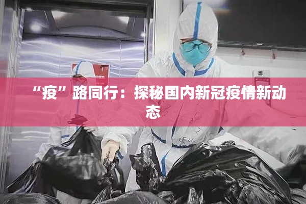 “疫”路同行:探秘国内新冠疫情新动态