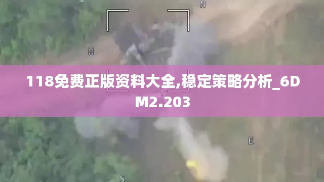 118免费正版资料大全,稳定策略分析_6DM2.203