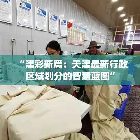 “津彩新篇:天津最新行政区域划分的智慧蓝图”