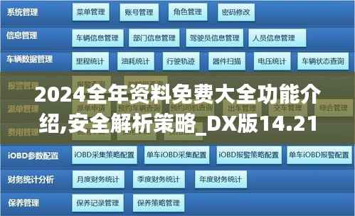 2024全年资料免费大全功能介绍,安全解析策略_DX版14.218
