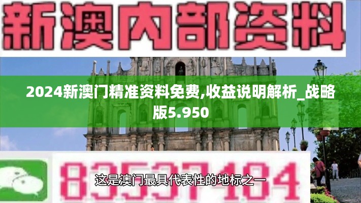 2024新澳门精准资料免费,收益说明解析_战略版5.950