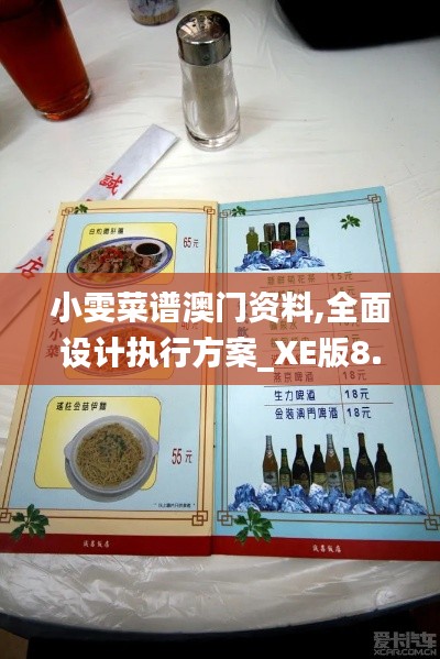 小雯菜谱澳门资料,全面设计执行方案_XE版8.543