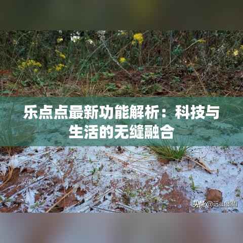 乐点点最新功能解析：科技与生活的无缝融合