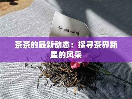 茶茶的最新动态:探寻茶界新星的风采