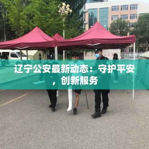 辽宁公安最新动态:守护平安,创新服务