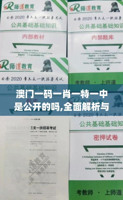澳门一码一肖一特一中是公开的吗,全面解析与深度体验_3DM8.400