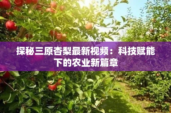 探秘三原杏梨最新视频:科技赋能下的农业新篇章