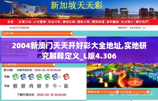 2004新澳门天天开好彩大全地址,实地研究解释定义_L版4.306