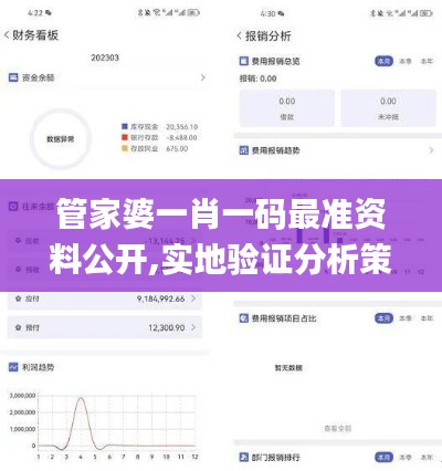 管家婆一肖一码最准资料公开,实地验证分析策略_Advance17.540
