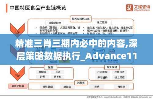 精准三肖三期内必中的内容,深层策略数据执行_Advance110.407