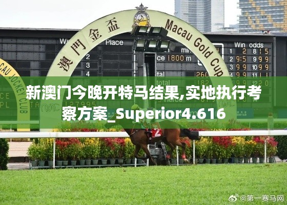 新澳门今晚开特马结果,实地执行考察方案_Superior4.616