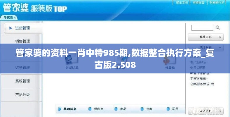 管家婆的资料一肖中特985期,数据整合执行方案_复古版2.508