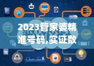 2023管家婆精准号码,实证数据解释定义_工具版8.423