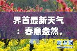 界首最新天气:春意盎然,暖阳和风共舞