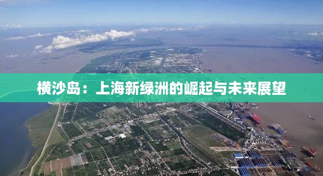 横沙岛:上海新绿洲的崛起与未来展望