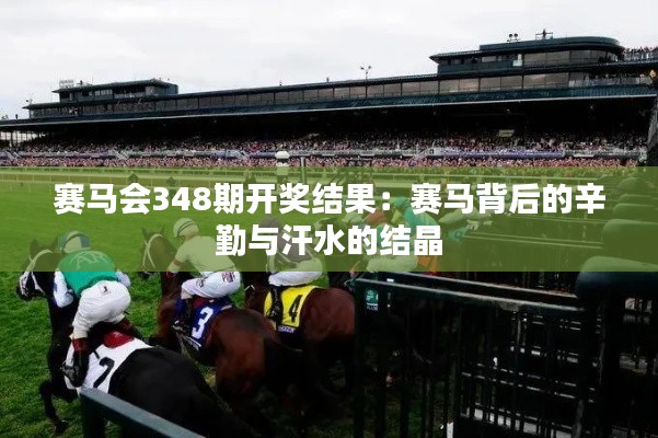 赛马会348期开奖结果:赛马背后的辛勤与汗水的结晶