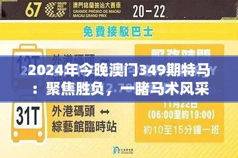2024年今晚澳门349期特马:聚焦胜负,一睹马术风采