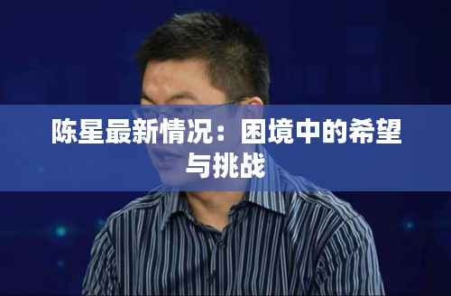 陈星最新情况:困境中的希望与挑战