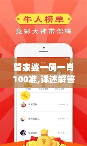 管家婆一码一肖100准,详述解答解释落实_VE版8.100