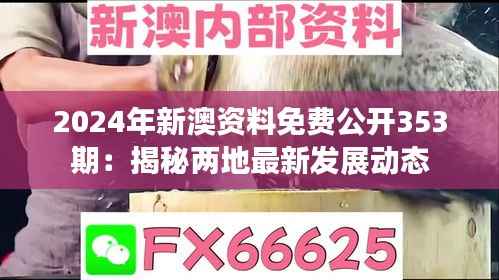 2024年新澳资料免费公开353期:揭秘两地最新发展动态