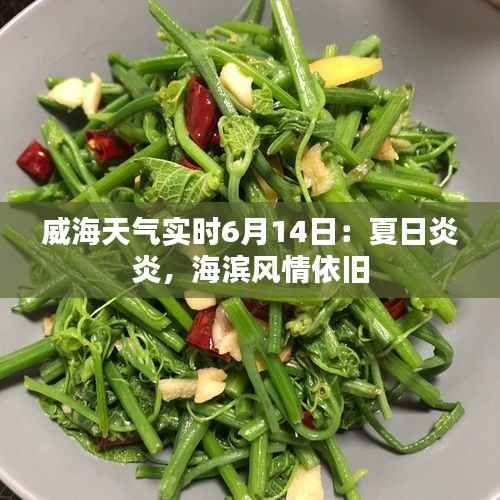 威海天气实时6月14日:夏日炎炎,海滨风情依旧