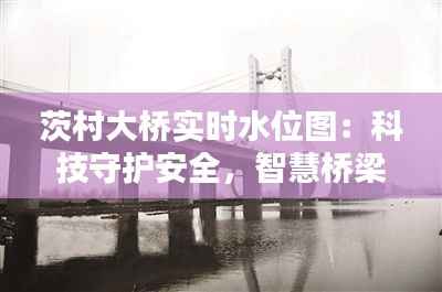 茨村大桥实时水位图:科技守护安全,智慧桥梁映照未来