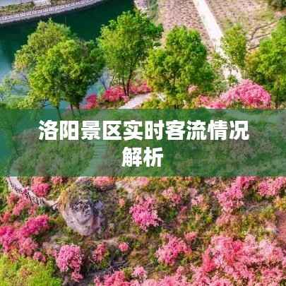 洛阳景区实时客流情况解析