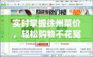 实时掌握徐州菜价,轻松购物不花冤枉钱