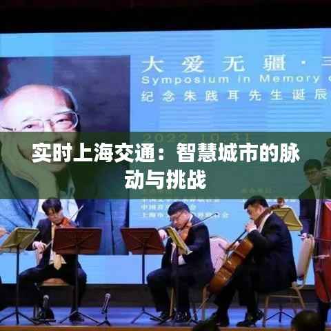 实时上海交通:智慧城市的脉动与挑战