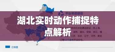 湖北实时动作捕捉特点解析