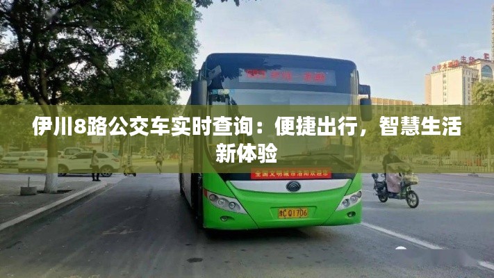 伊川8路公交车实时查询：便捷出行，智慧生活新体验