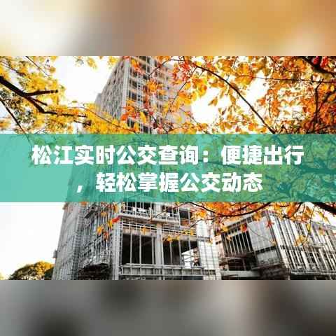 松江实时公交查询:便捷出行,轻松掌握公交动态