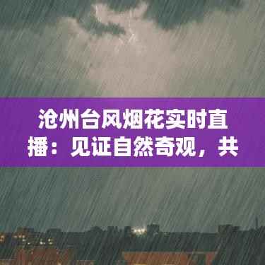 小心翼翼 第3页