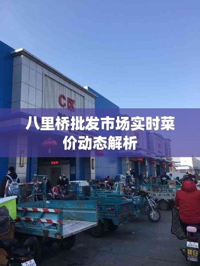 八里桥批发市场实时菜价动态解析