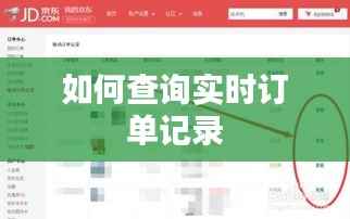 如何查询实时订单记录