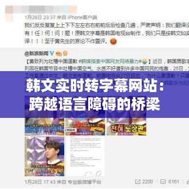 韩文实时转字幕网站:跨越语言障碍的桥梁