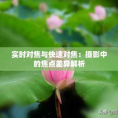 实时对焦与快速对焦：摄影中的焦点差异解析