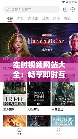 实时视频网站大全:畅享即时互动的视觉盛宴