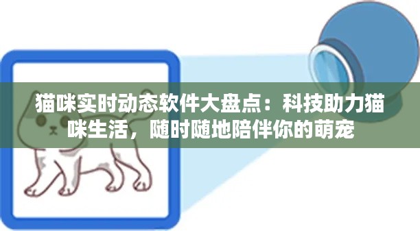 猫咪实时动态软件大盘点：科技助力猫咪生活，随时随地陪伴你的萌宠