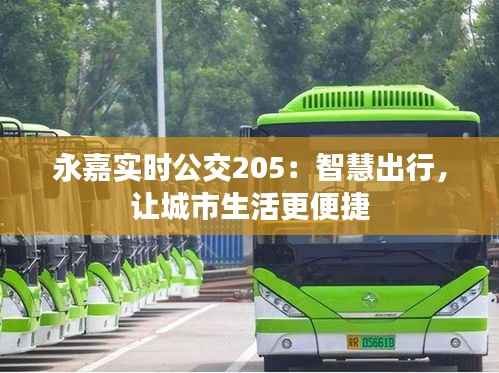 永嘉实时公交205:智慧出行,让城市生活更便捷