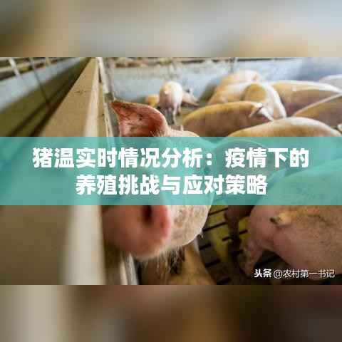 猪温实时情况分析:疫情下的养殖挑战与应对策略