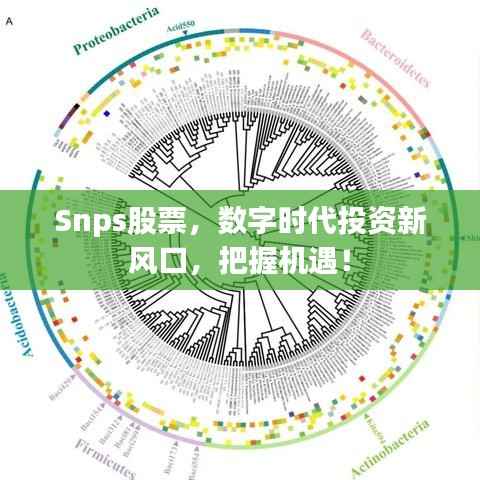Snps股票,数字时代投资新风口,把握机遇!