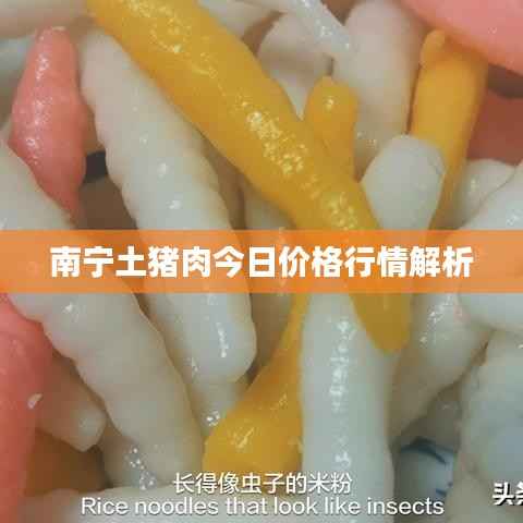 南宁土猪肉今日价格行情解析