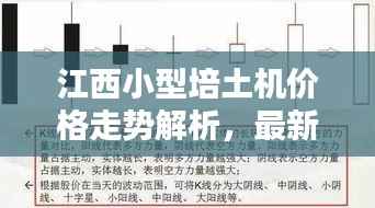 江西小型培土机价格走势解析，最新行情一目了然